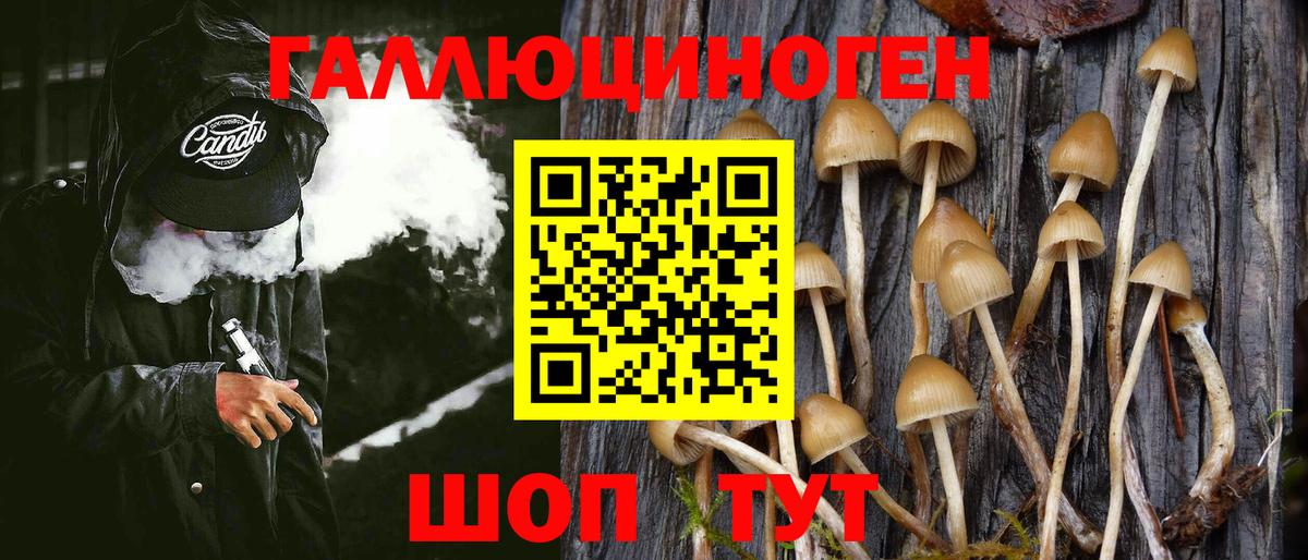Ялта  Псилоцибиновые грибы Psilocybine cubensis  Вход с VPN 